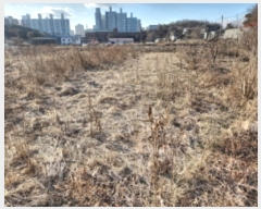  2024Ÿ��579712  �����