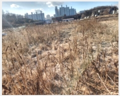  2024Ÿ��579712  �����