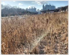  2024Ÿ��579712  �����