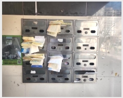  2024Ÿ��17016  �ټ���(����)���