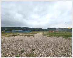  2024Ÿ��556900 ��õ �߱� ��ϵ� 1272-9       ����(����)���