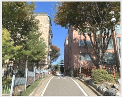  2024Ÿ552151 õ  ȭ162 6-2, 4401ȣ      ټ,