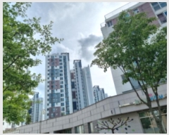  2024Ÿ��8081  ����Ʈ���