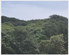  2024Ÿ9718 õ ߱ ǵ 254-8       (Ӿ)