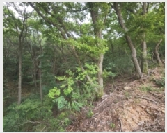  2024Ÿ9718 õ ߱ ǵ 254-8       (Ӿ)