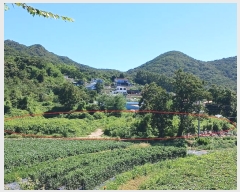  2024Ÿ��10480  �Ӿ߰��