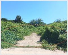  2024Ÿ��10480  �Ӿ߰��