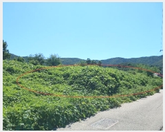  2024Ÿ��10480  �Ӿ߰��