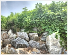  2024Ÿ��10480  �Ӿ߰��