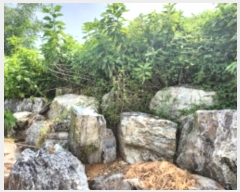  2024Ÿ��10480  �Ӿ߰��