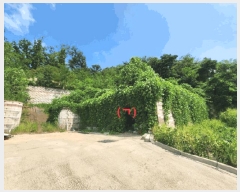  2024Ÿ��11797  �Ӿ߰��