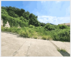  2024Ÿ��11797  �Ӿ߰��