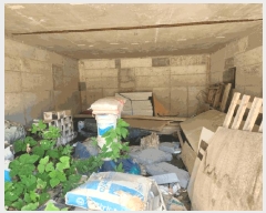  2024Ÿ��11797  �Ӿ߰��