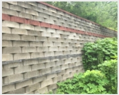  2024Ÿ��11797  �Ӿ߰��