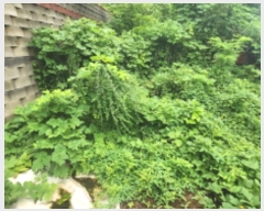  2024Ÿ��11797  �Ӿ߰��