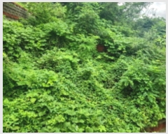  2024Ÿ��11797  �Ӿ߰��