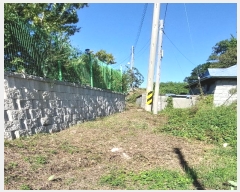  2024Ÿ��12738  �Ӿ߰��