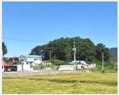  2024Ÿ��12738  �Ӿ߰��