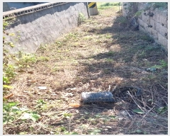  2024Ÿ��12738  �Ӿ߰��