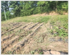  2024Ÿ��12738  �Ӿ߰��