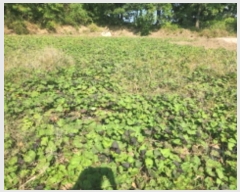  2024Ÿ��12738  �Ӿ߰��