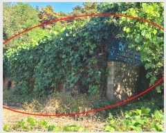  2024Ÿ��13205  �ٸ��󰡰��