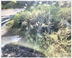  2024Ÿ��13205  �ٸ��󰡰��