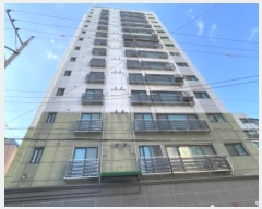  2024Ÿ��16235  ���ǽ��ڰ��