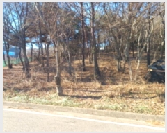  2024Ÿ��16297 ��õ ������ ����� ���� 1542-14      ����(�Ӿ�)���