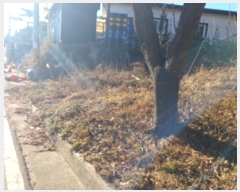  2024Ÿ��16297 ��õ ������ ����� ���� 1542-14      ����(�Ӿ�)���