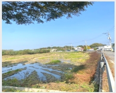  2024Ÿ��565348 ��õ ��ȭ�� ��ȭ�� ��ȭ�� 32-1      ����(��)���