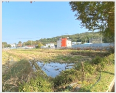  2024Ÿ��565348 ��õ ��ȭ�� ��ȭ�� ��ȭ�� 32-1      ����(��)���