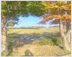  2024Ÿ��565348 ��õ ��ȭ�� ��ȭ�� ��ȭ�� 32-1      ����(��)���