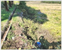  2024Ÿ��565348 ��õ ��ȭ�� ��ȭ�� ��ȭ�� 32-1      ����(��)���