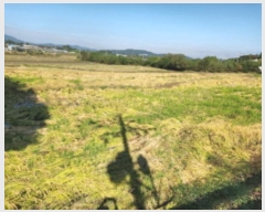  2024Ÿ��565348 ��õ ��ȭ�� ��ȭ�� ��ȭ�� 32-1      ����(��)���