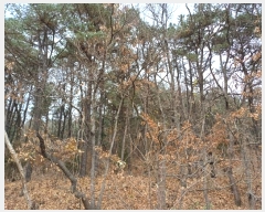  2024Ÿ��566334 ��õ ��ȭ�� ������ ���� 327-16      ����(�Ӿ�)���