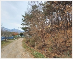  2024Ÿ��566334 ��õ ��ȭ�� ������ ���� 327-16      ����(�Ӿ�)���