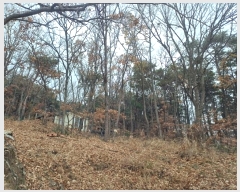  2024Ÿ��566334 ��õ ��ȭ�� ������ ���� 327-16      ����(�Ӿ�)���