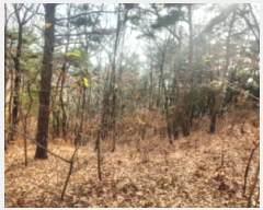  2024Ÿ��566334 ��õ ��ȭ�� ������ ���� 327-16      ����(�Ӿ�)���