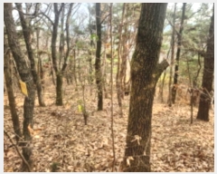  2024Ÿ��566334 ��õ ��ȭ�� ������ ���� 327-16      ����(�Ӿ�)���