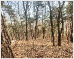  2024Ÿ��566334 ��õ ��ȭ�� ������ ���� 327-16      ����(�Ӿ�)���