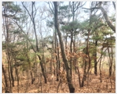  2024Ÿ��566334 ��õ ��ȭ�� ������ ���� 327-16      ����(�Ӿ�)���