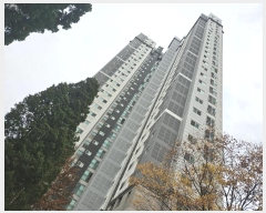  2024Ÿ��569999  ����Ʈ���