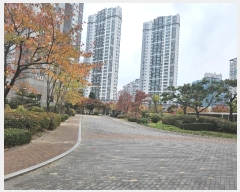  2024Ÿ��569999  ����Ʈ���