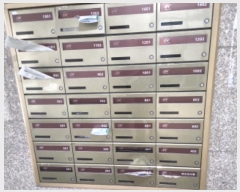  2024Ÿ��571213  ����Ʈ���