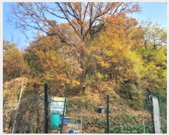  2024Ÿ��572025  �Ӿ߰��