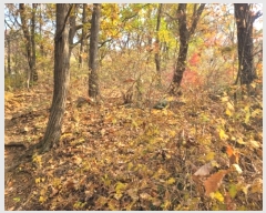  2024Ÿ��572025  �Ӿ߰��