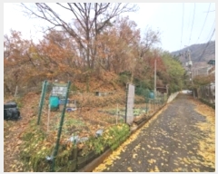  2024Ÿ��572025  �Ӿ߰��