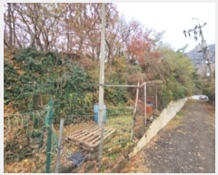  2024Ÿ��572025  �Ӿ߰��