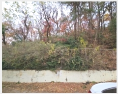  2024Ÿ��572025  �Ӿ߰��